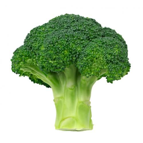 Broccoli - Image 4